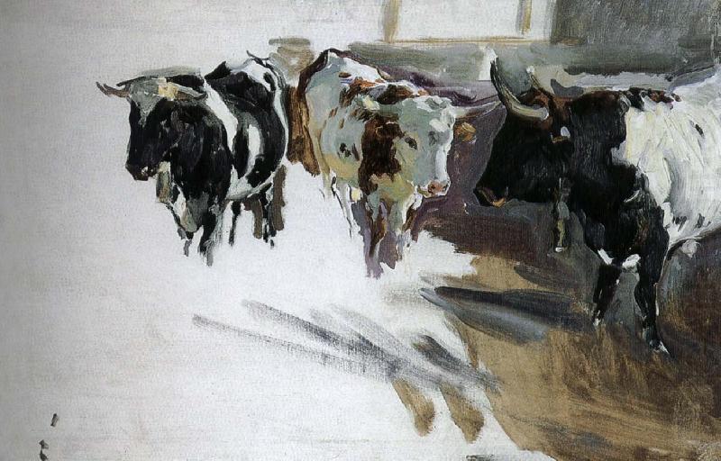 Joaquin Sorolla Bull Project china oil painting image